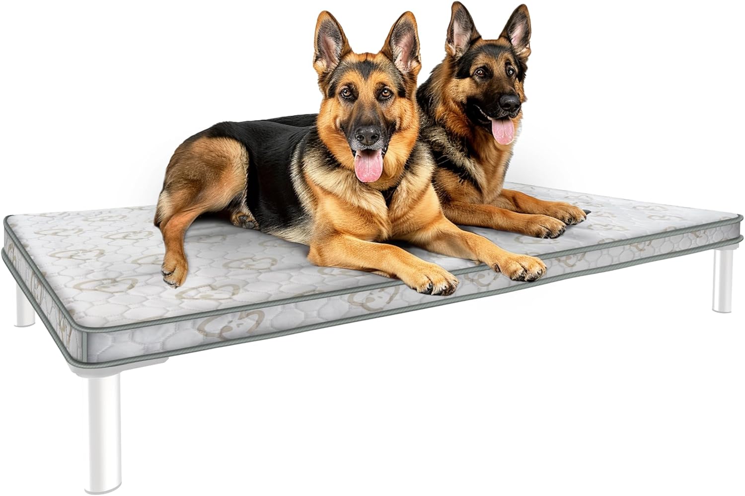FXW Exclusive Dog Bed Cover