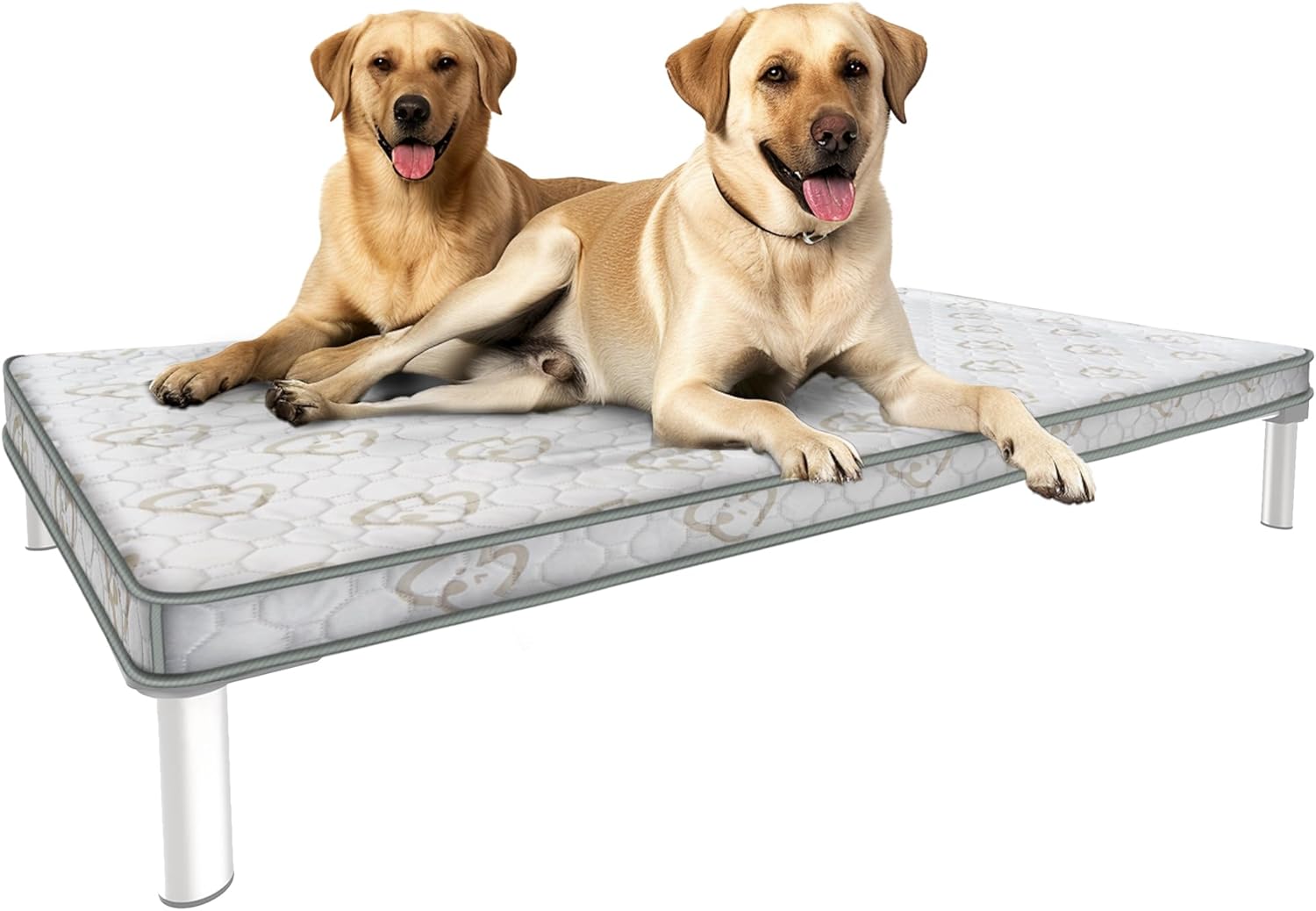 FXW Exclusive Dog Bed Cover