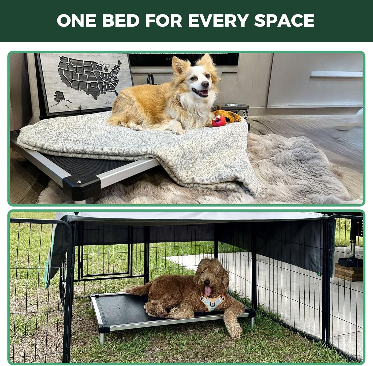 TitanNest Cooling Dog Bed - Chew-Proof Elevated Dog Bed - FXW