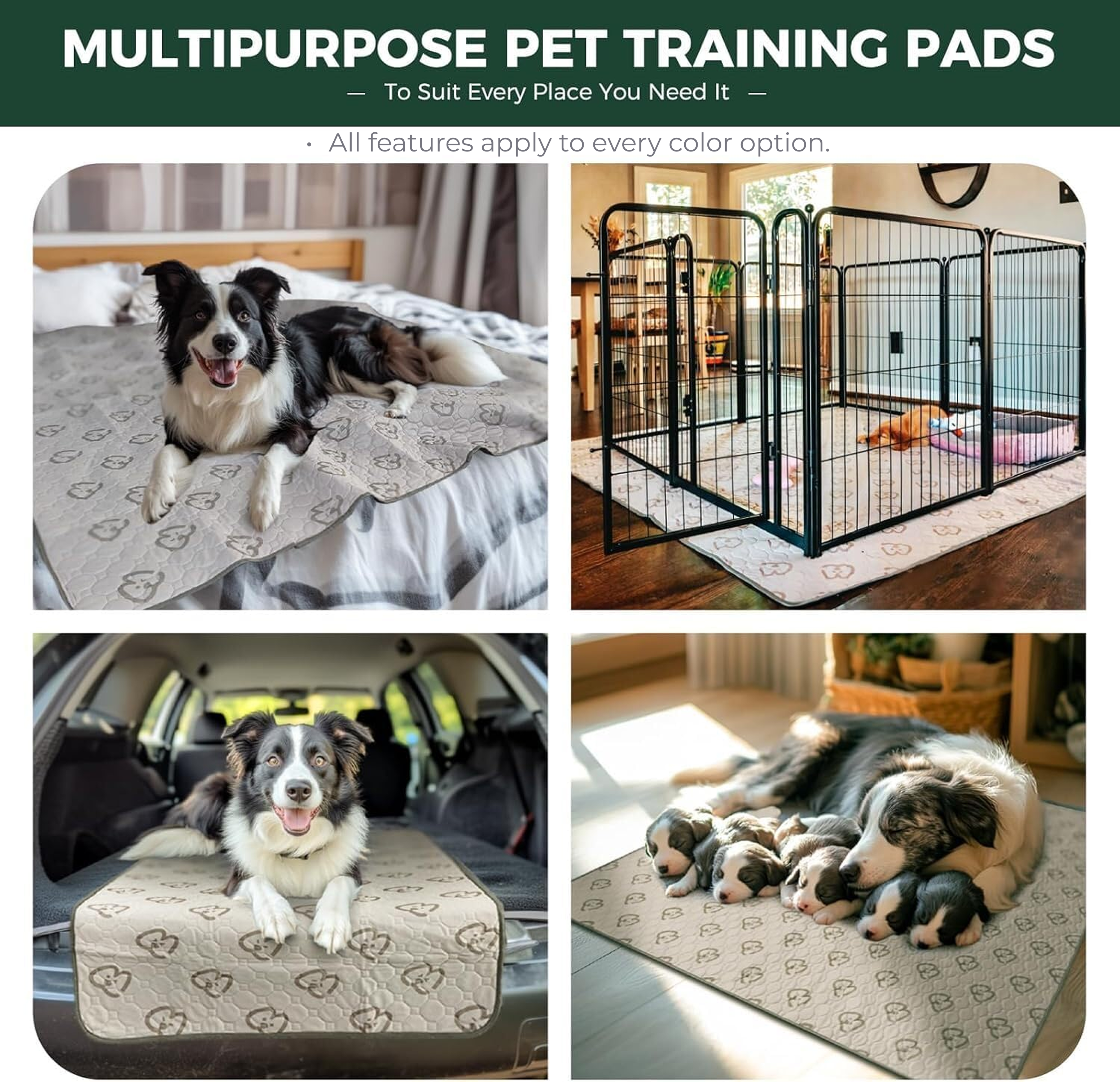 Washable Pee Pads for Housebreaking Your Dog