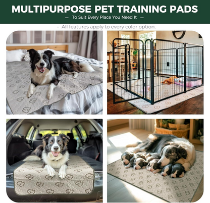 Washable Pee Pads for Housebreaking Your Dog