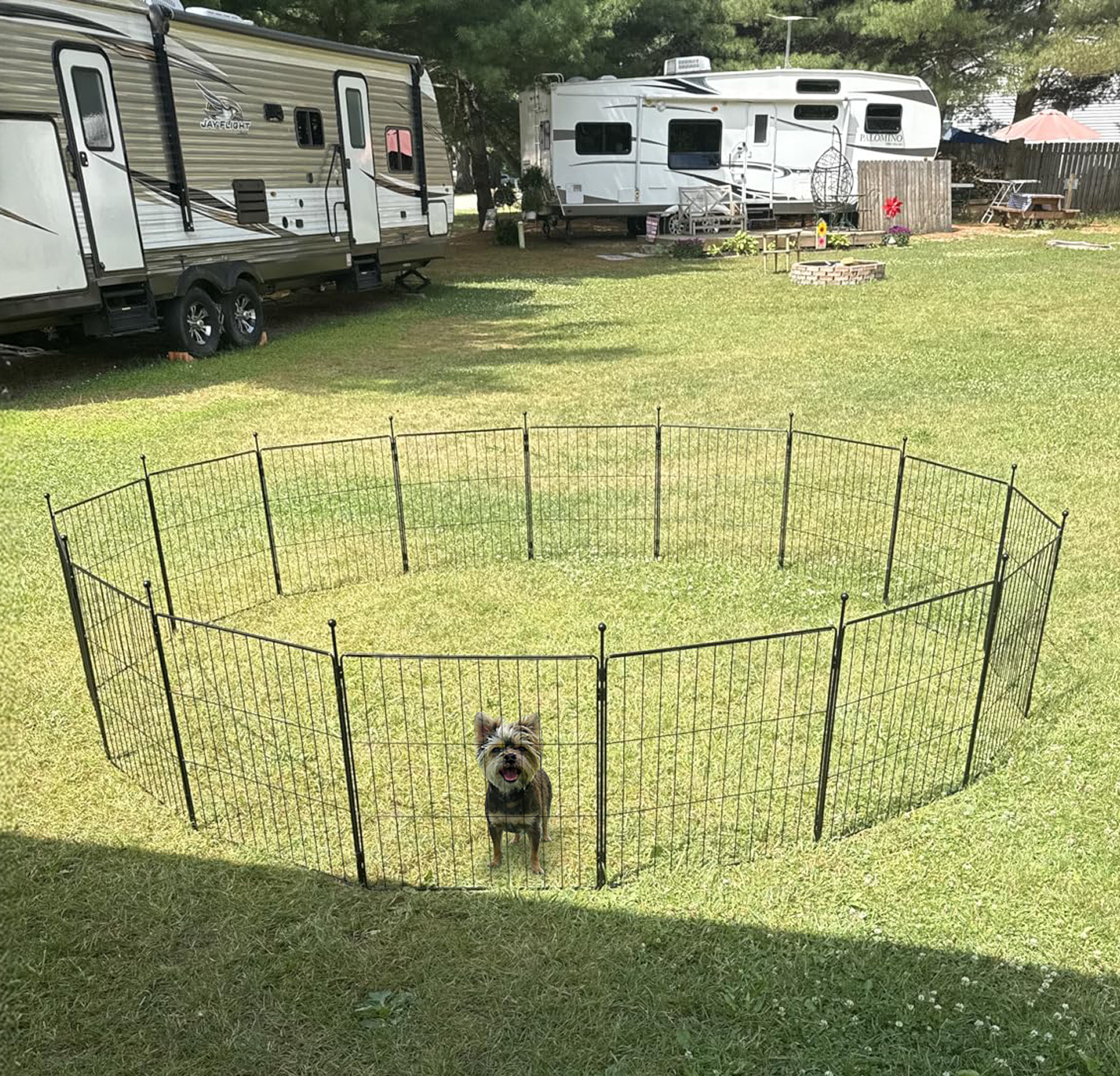 MiniPaws Dog Playpen Designed for Puppies / Small Dogs