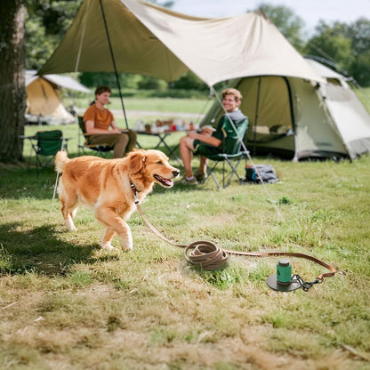 FXW ROOTIE Heavy Duty Dog Tie-Out Stake