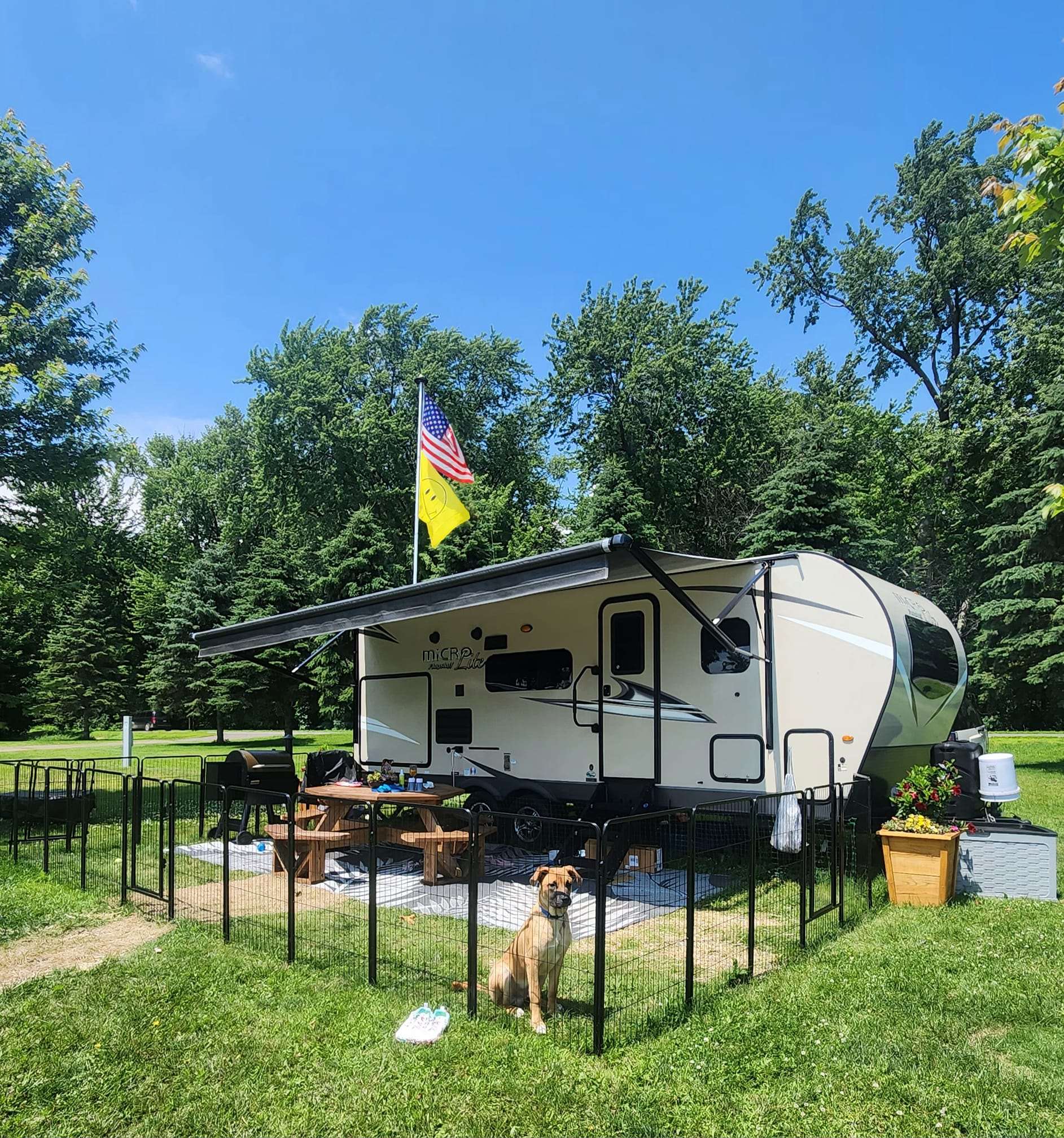 Bundle - Rollick Dog Playpen & Carry Straps & Stake Bag (3 PCs) FXW