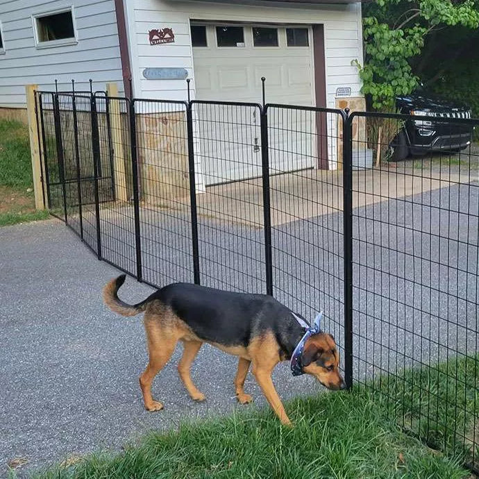 Rollick Dog Playpen for All-Terrain