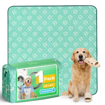 Washable Pee Pads for Housebreaking Your Dog