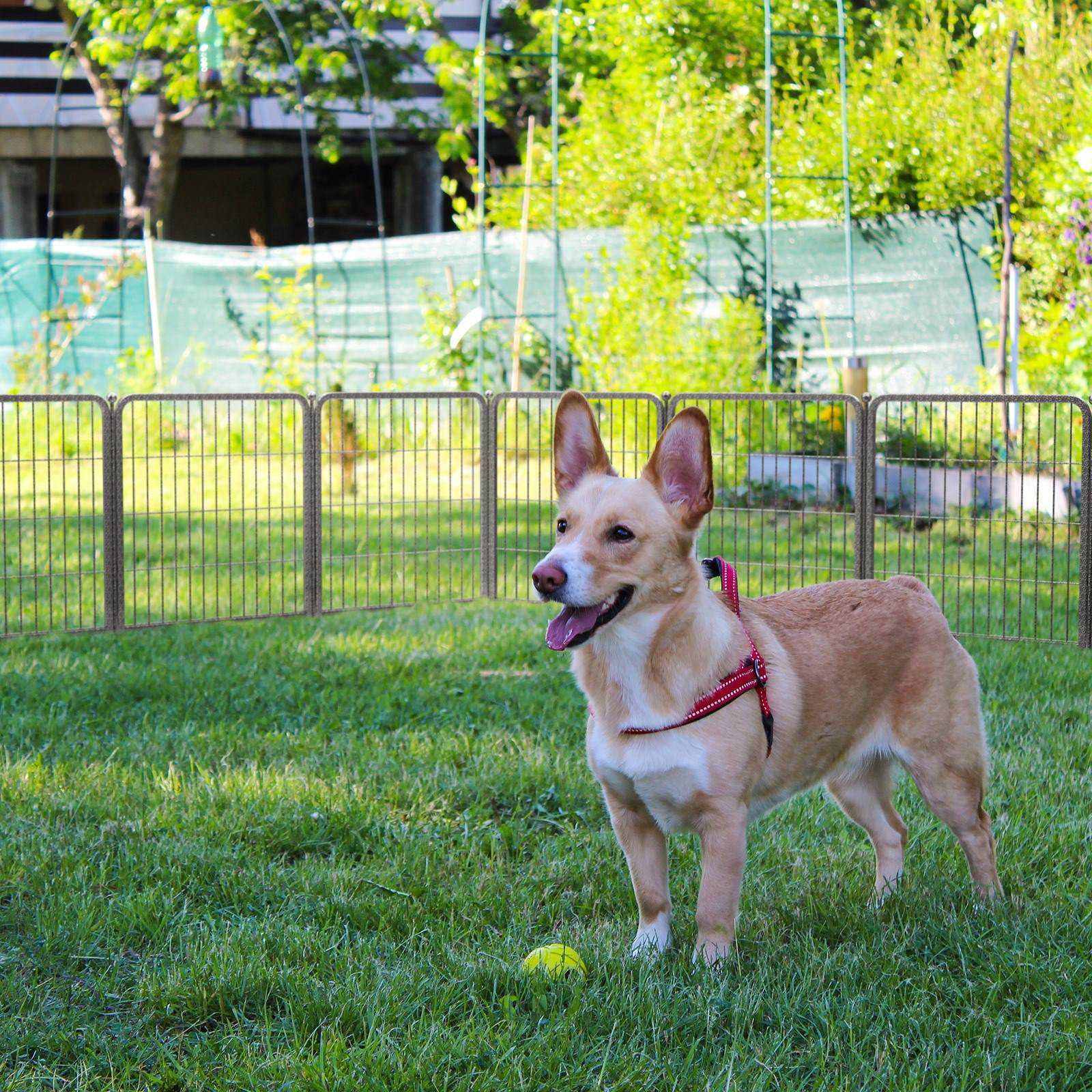 Aster Dog Playpen for Yard WM 24 inch 14 Panels & 2 Gates WM
