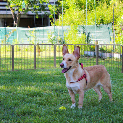 Aster Dog Playpen for Yard WM 24 inch 14 Panels & 2 Gates WM