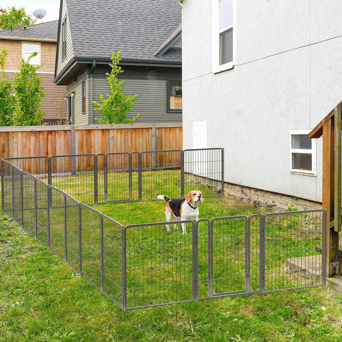 Outside dog shops playpen