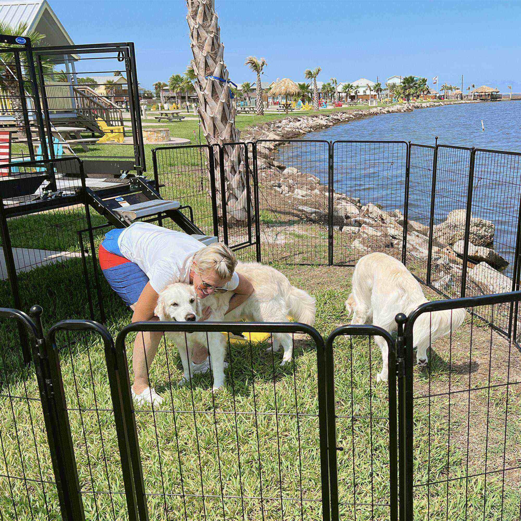 camping dog fence beside ocean