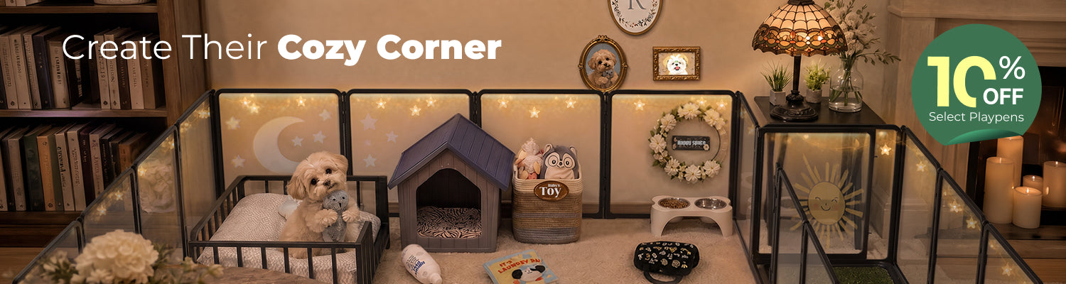Cozy Dog Corner – FXW
