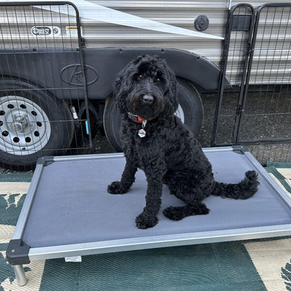 TitanNest Padded Chew-Proof Elevated Dog Bed for Your Chewer 42.0''Lx27.0''Wx5.0"H Grey FXW
