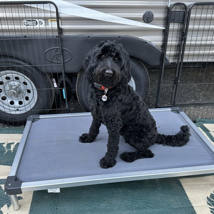 TitanNest Padded Chew-Proof Elevated Dog Bed for Your Chewer 42.0''Lx27.0''Wx5.0"H Grey FXW