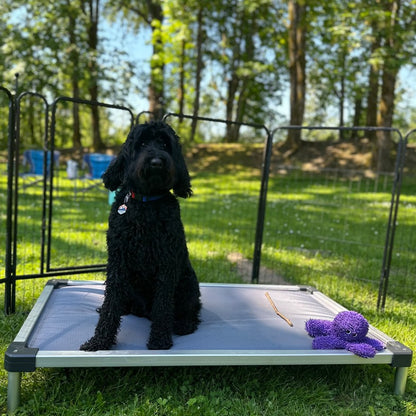 TitanNest Padded Chew-Proof Elevated Dog Bed for Your Chewer 30.0"Lx22.0"W x 4.5"H Grey FXW