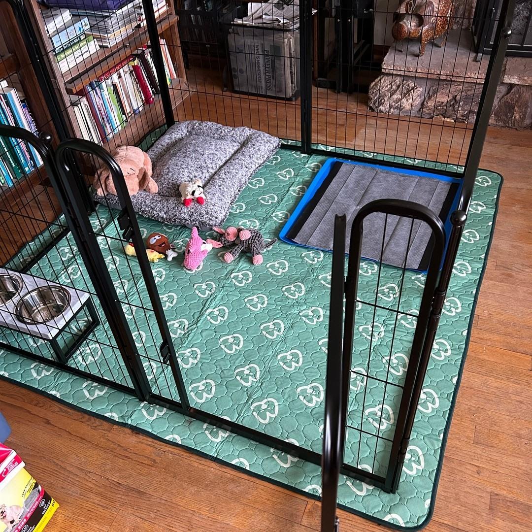 Washable Pee Pads for Housebreaking Your Dog FXW