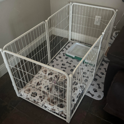 Bundle - White Homeplus Dog Playpen & Fence-to- Wall Anchor & Pee Pad (3 PCs) FXW