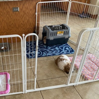 Homeplus Dog Playpen for Indoor Use White 32 inch 1 Gate Panel FXW