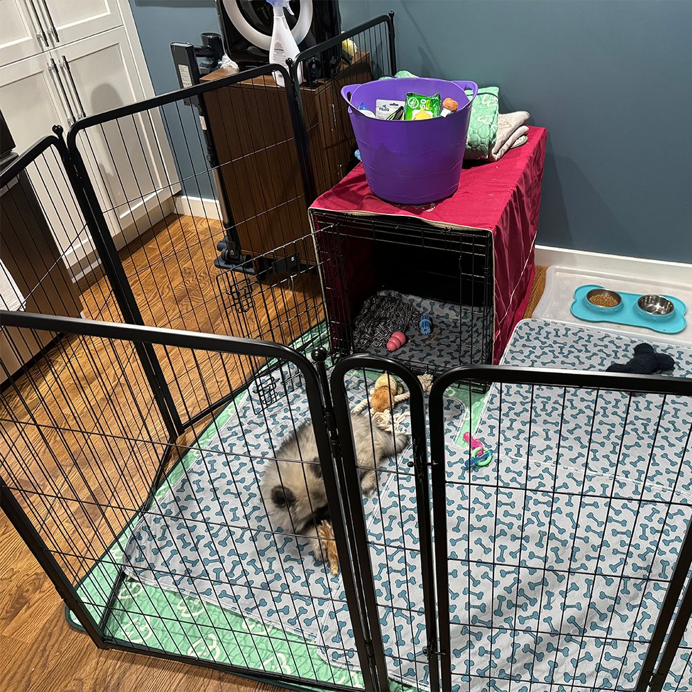 Homeplus Dog Playpen for Indoor Use