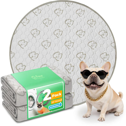 Washable Pee Pads for Housebreaking Your Dog