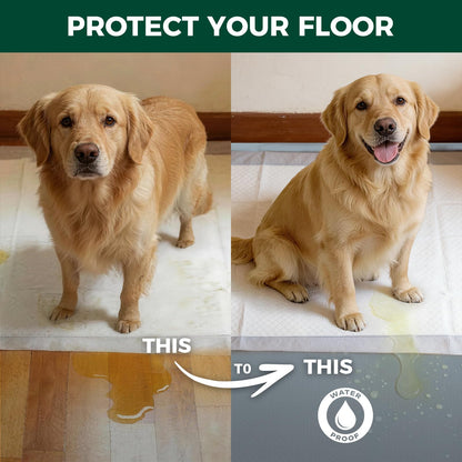 FXW Ultra Waterproof Pet Floor Protector Mat and Under Dog Crate Mat