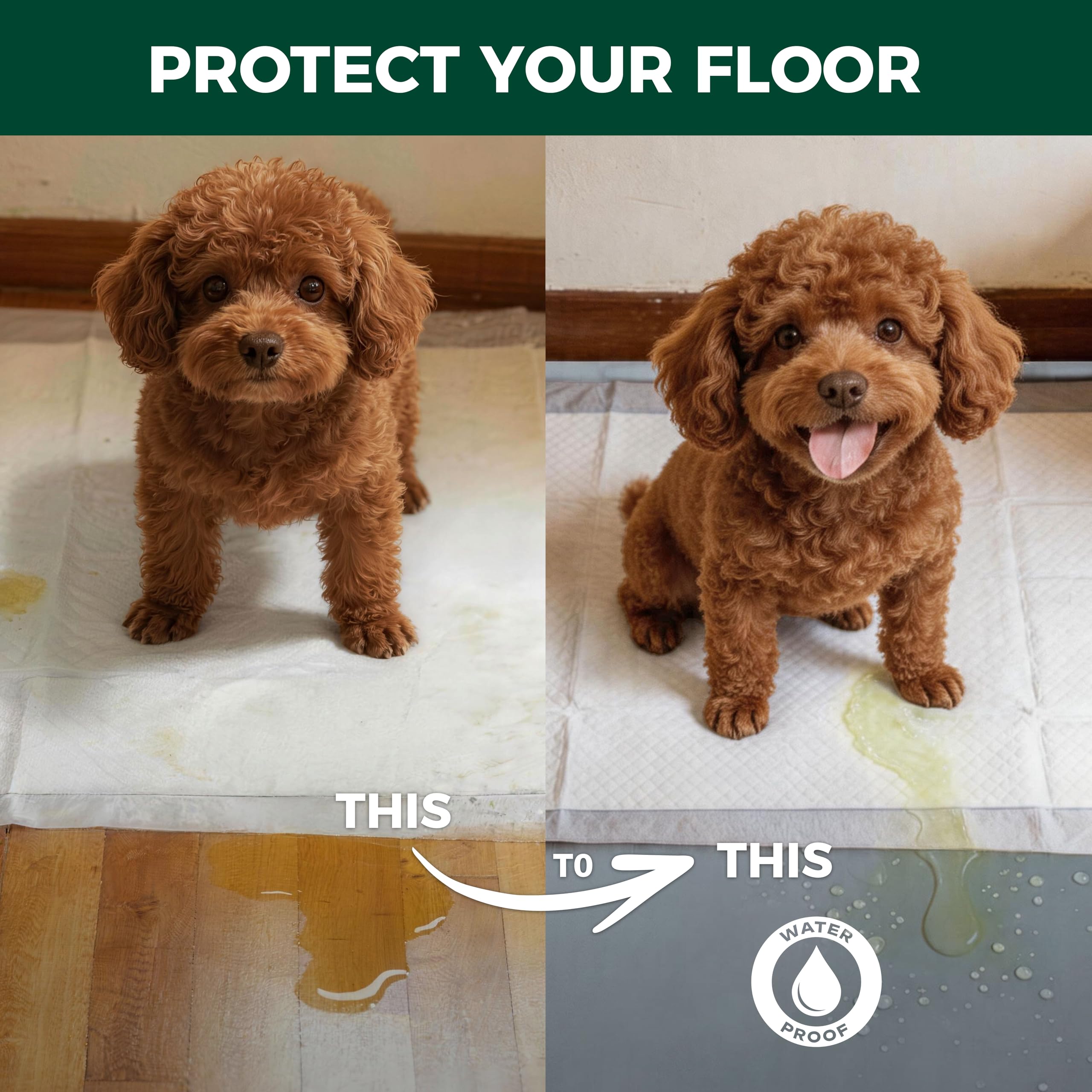FXW Ultra Waterproof Pet Floor Protector Mat and Under Dog Crate Mat