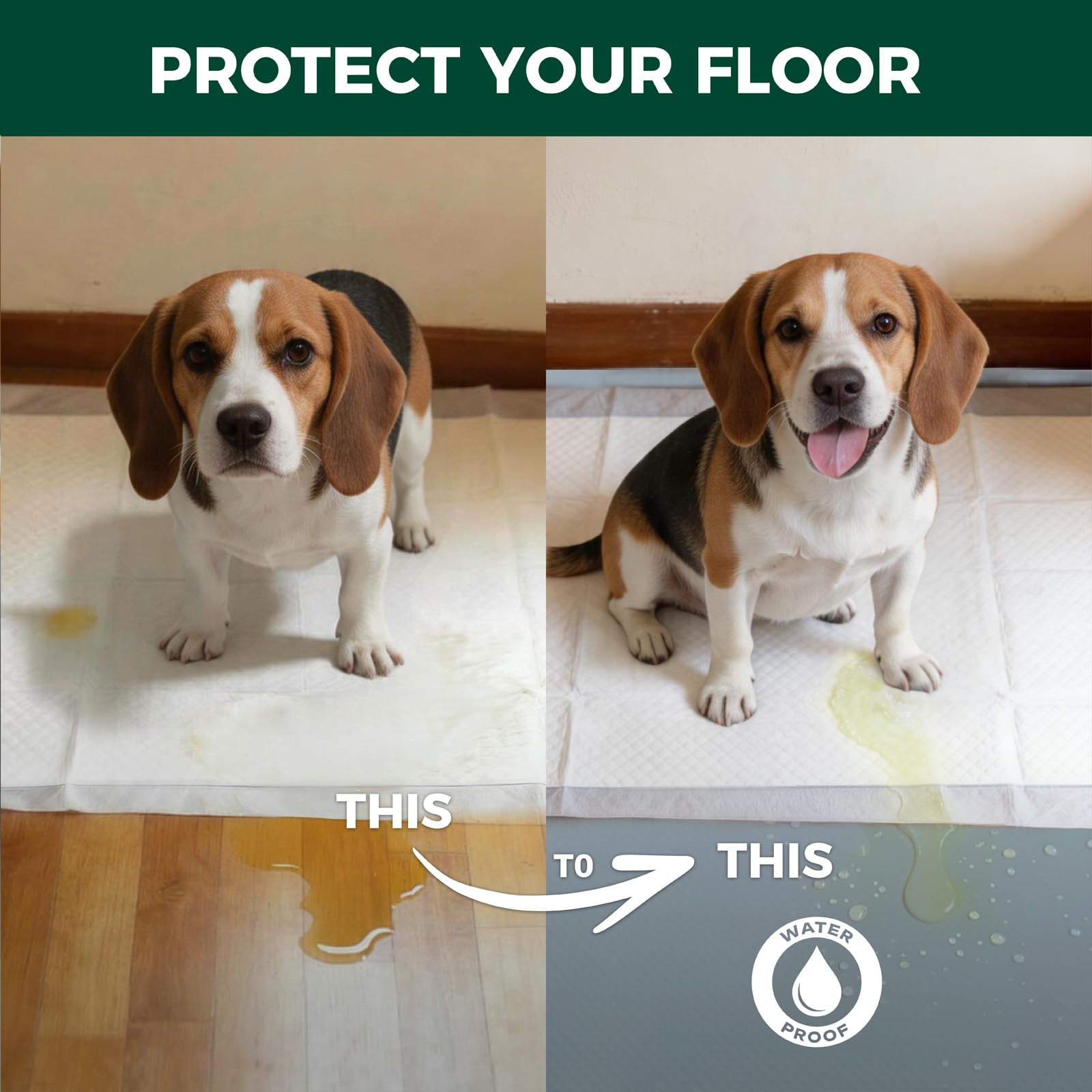 FXW Ultra Waterproof Pet Floor Protector Mat and Under Dog Crate Mat