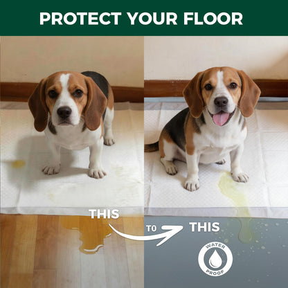 FXW Ultra Waterproof Pet Floor Protector Mat and Under Dog Crate Mat