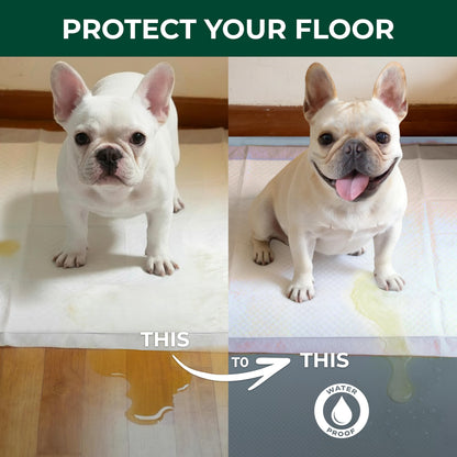 FXW Ultra Waterproof Pet Floor Protector Mat and Under Dog Crate Mat