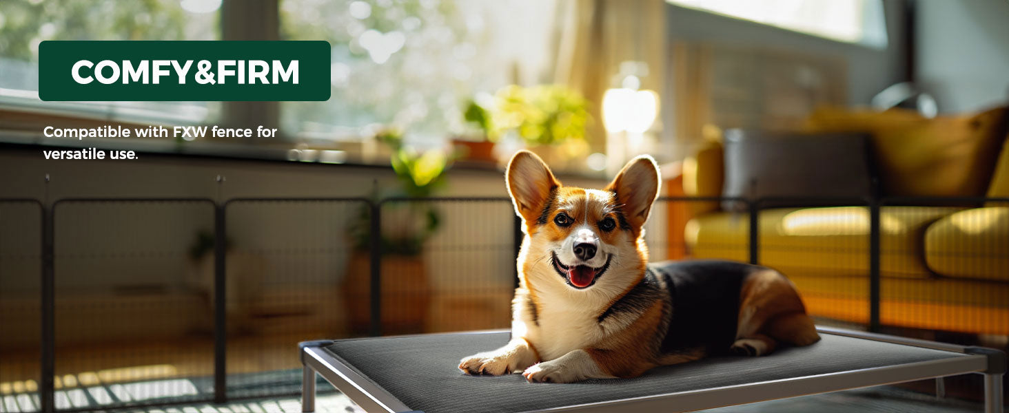 how to wash a dog bed