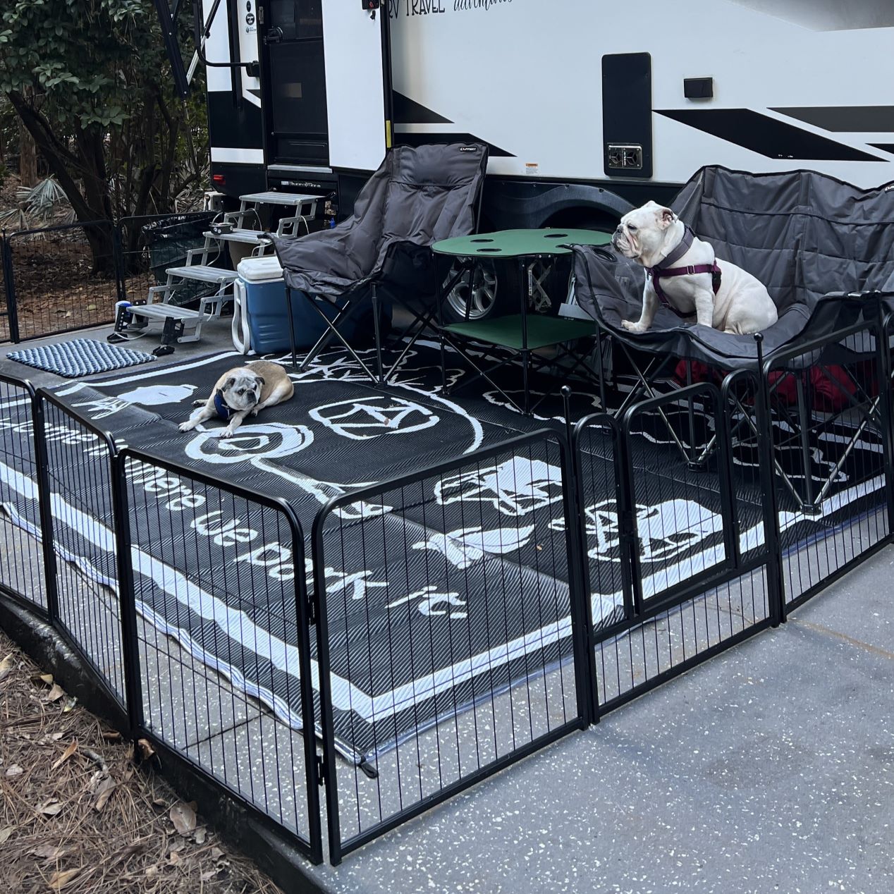 Instant Dog Playpen for RV Trips 24 inch 21 Panels & 3 Gates FXW