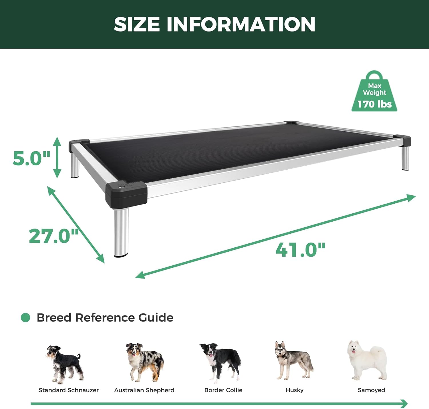TitanNest Padded Chew-Proof Elevated Dog Bed for Your Chewer