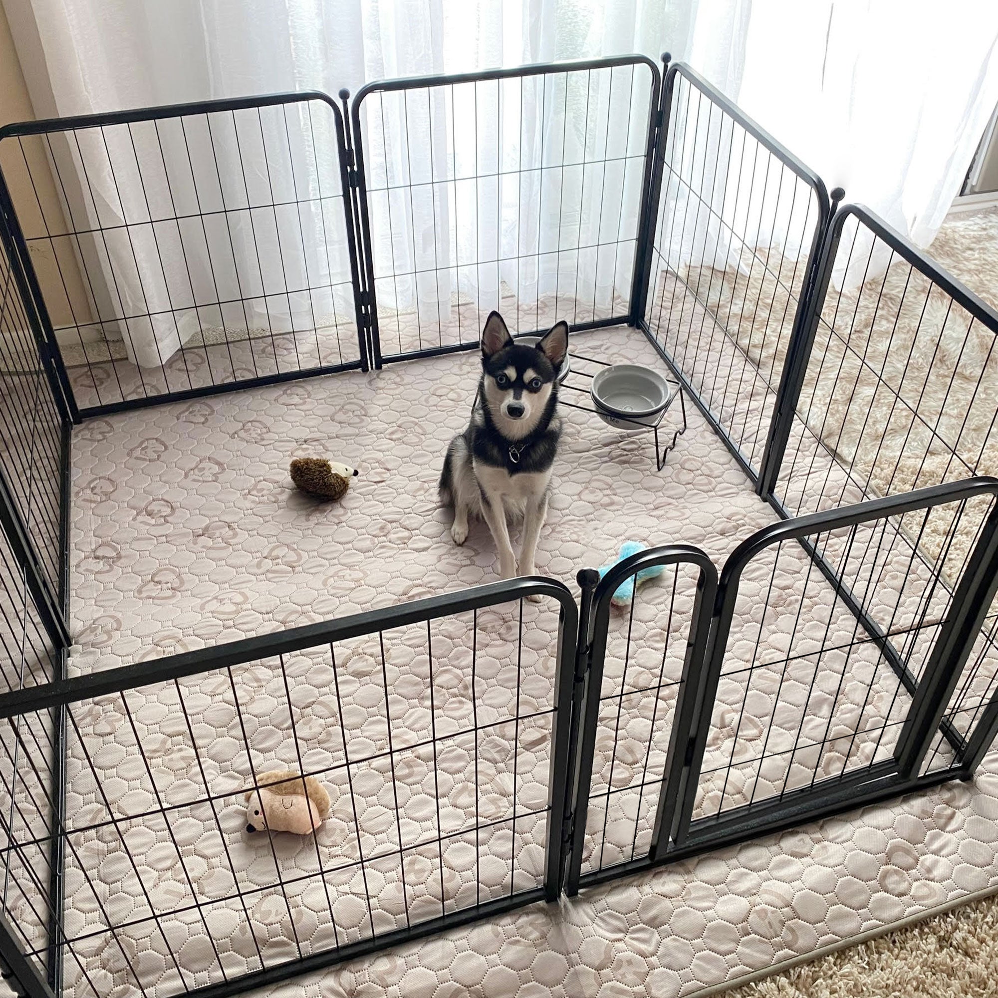 Dog Playpen With Floor Waterproof Pee Pads For Dogs PJYuCien Dog