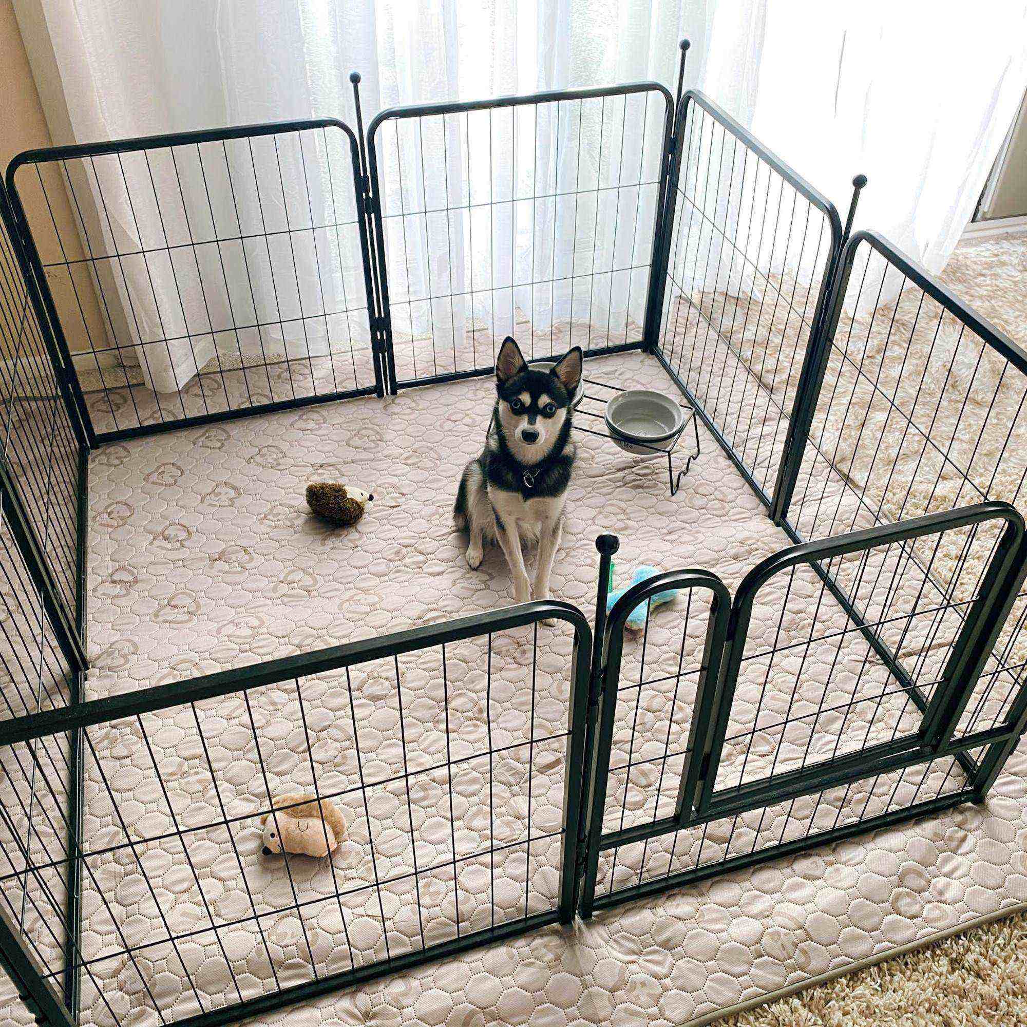 portable dog playpen for indoor