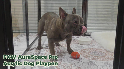 FXW AuraSpace Pro Acrylic Indoor Dog Playpen