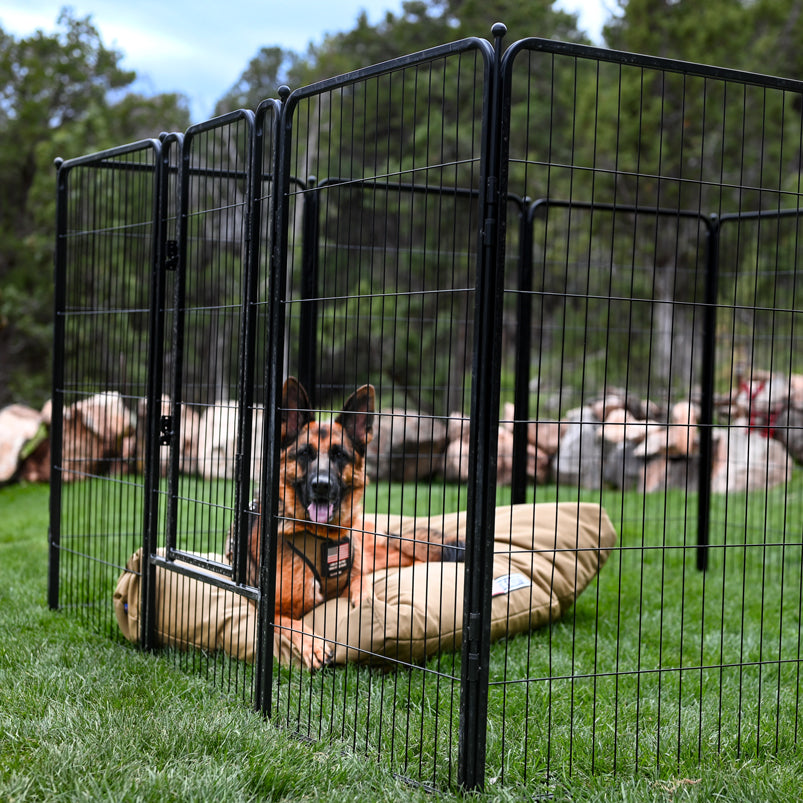 dog kennel outside