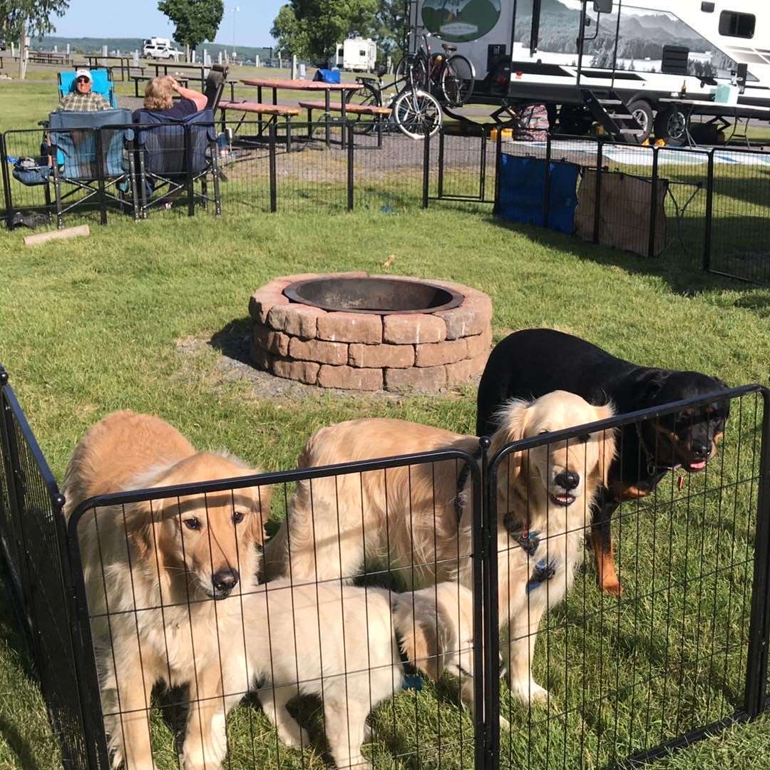 Rollick Dog Playpen for All-Terrain 32 inch 28 Panels & 4 Gates FXW