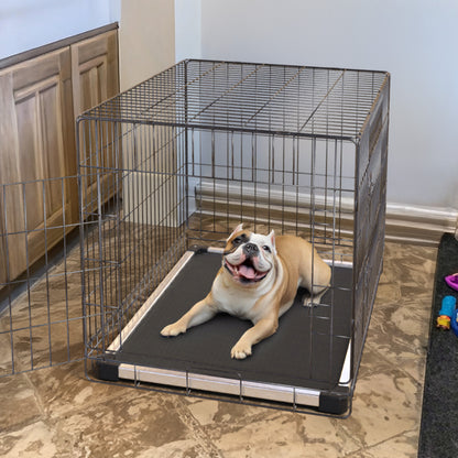 TitanNest Padded Chew-Proof Elevated Dog Bed for Your Chewer