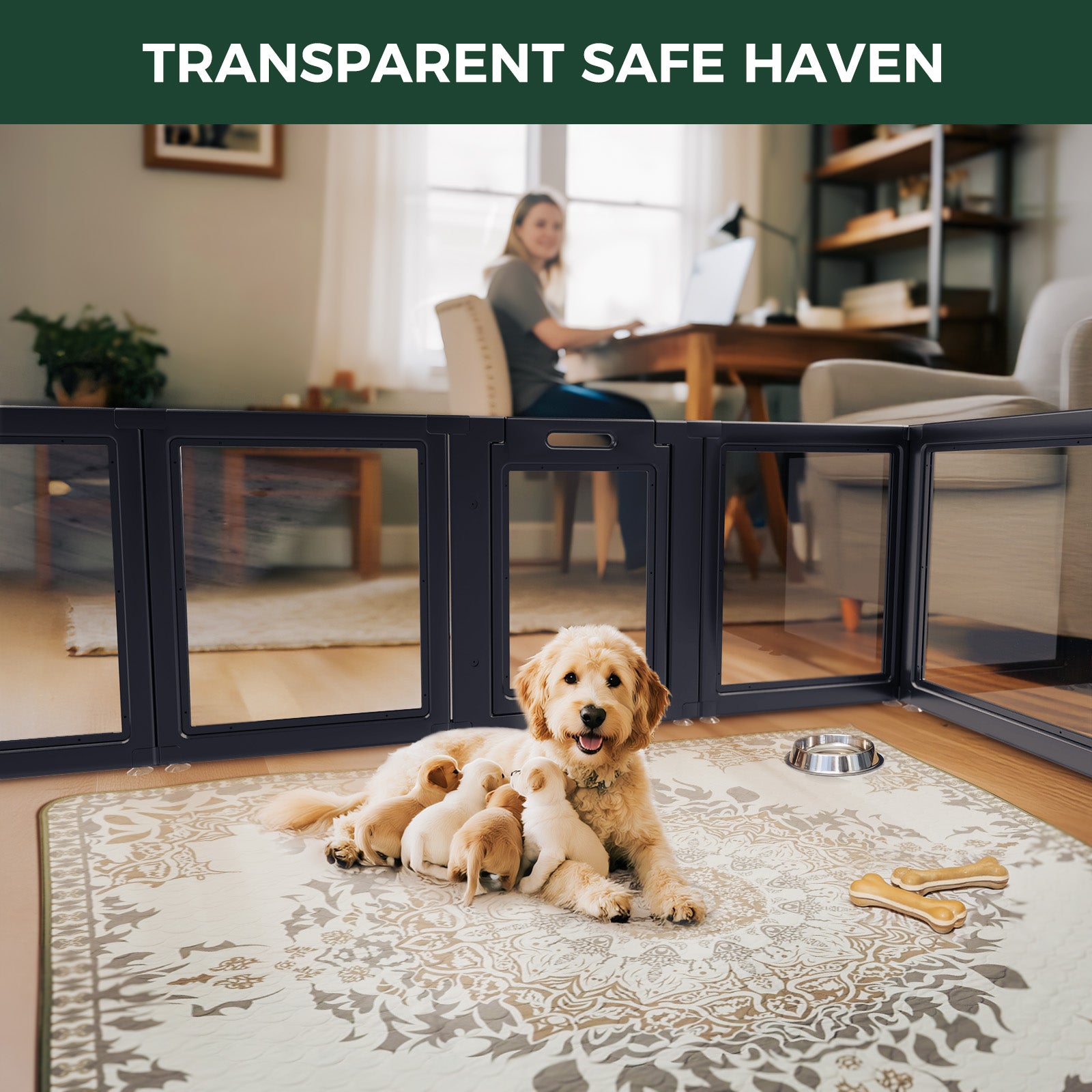 AuraSpace Acrylic Indoor Dog Playpen for Puppies and Small Dogs